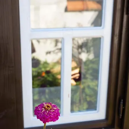 Forrás *