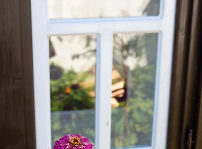 Forrás *